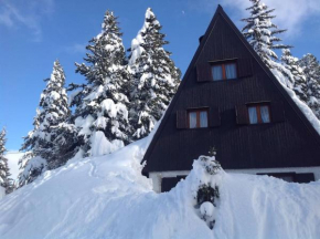 Baita Giggia sulle piste - Cavalese in Trentino Alto Adige cottage chalet